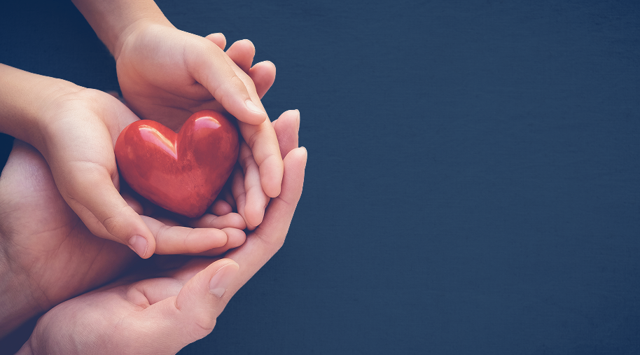 Everything you need to know about organ transplants:  Information concerning the living donors, medical advances and how to access from international locations
